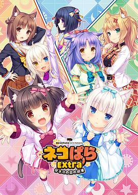 久久久精品在观看999