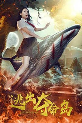 干女人视频