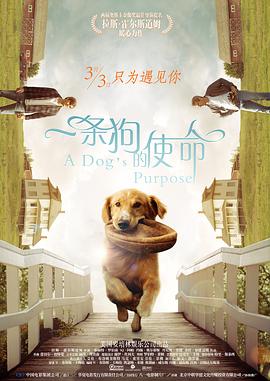 我和岳交换夫妇交换系列演员表