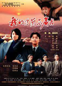 黄色三极片